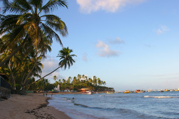 Naklejka premium Tropical beach at Bahia, Brazil