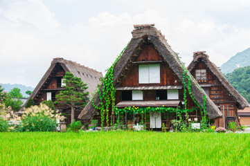 Fototapeta na wymiar Historical Japanese Village - Shirakawago