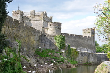 Cahir castle in Ireland