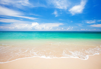 beach and tropical sea