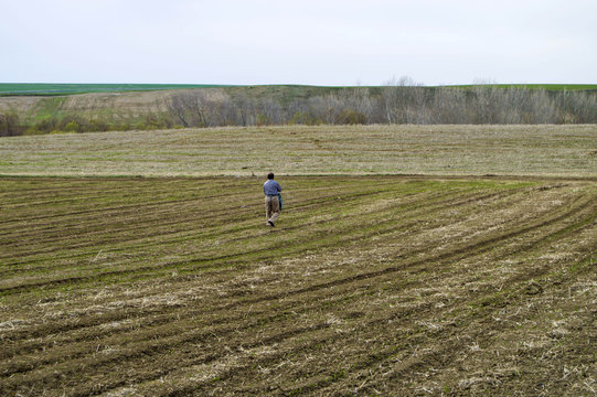 Fertilized cultivated field, fertilized green lentil field, fertilizer and agriculture
