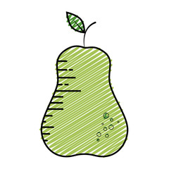 Delicious pear fruit icon vector illustration graphic design