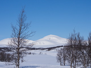 Nordic mountain