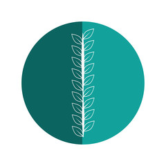 Leaves natural ornament icon vector illustration graphic design