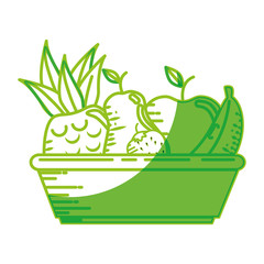 Delicious plate of fruits icon vector illustration graphic design