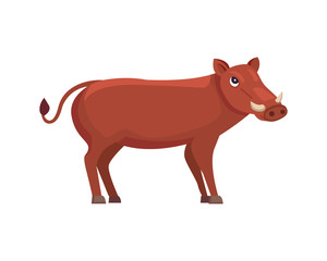 graphic illustration of boar cartoon style