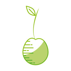 Delicious and sweet cherry icon vector illustration graphic design