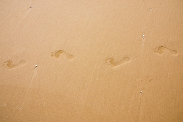 Fototapeta na wymiar Footprints of a person walking on sand
