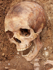 A man skeleton found in archeological dig site