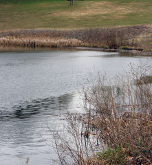 Minnesota Lakes Early Spring