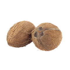 Two whole coconuts isolated on white