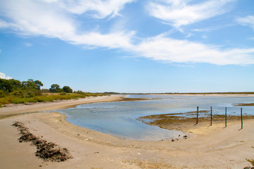 Francia-Paesaggio del parco regionale della Camargue