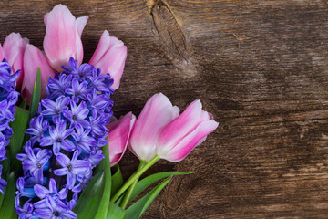 Pink tulips and blue hyacinths fresh flowers on dark aged wooden background