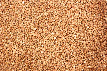 raw buckwheat grains background texture