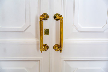 Fashion curly gold color interior door's handle 

