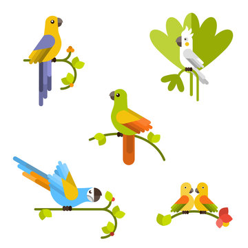 Set of beautiful colorful parrots. Vector flat illustration