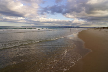 lonely beach in new zealand