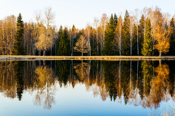 Saint Petersburg. Autumn 2016. Autumn landscape with reflection in the lake.