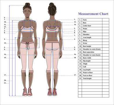 Size Chart Women Measurements Clothing Female Stock-vektor