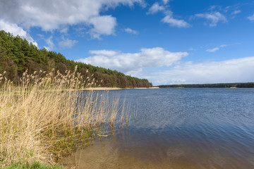 Spring time on the shore of the Golun lake in Kashubia in Poland.