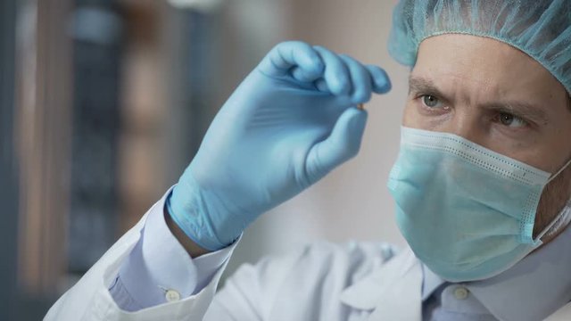 Food laboratory worker carefully checking quality of cereals harvest for export