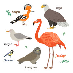 Set of birds. Vector illustration of different colorful birds. Flamingo, seagull, american eagle, titmouse, grey owl and hoopoe.  Isolated on white background. Flat design.