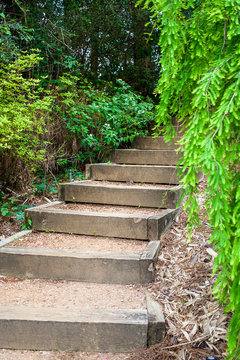 Stairs leading up in a botanical garden