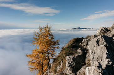 View from on Jenner mountain, Berchtesgaden, Germany