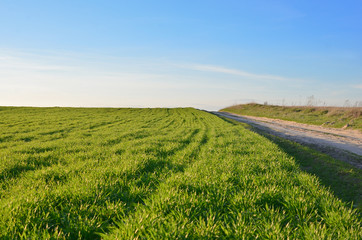 Spring landscape with vibrant green fields, blue cloudless sky and a waving rural road in perspective.