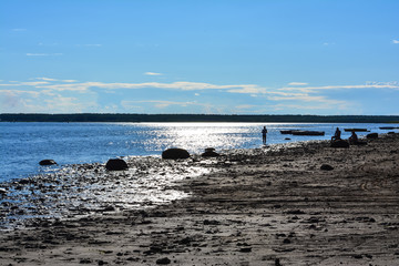 Shine of the river. River surface. Summer