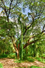 Almendares Park - Havana, Cuba
