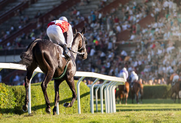 Jockey during horse races on his horse goes towards finish line. Traditional European sport.