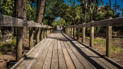 Boardwalk Walking Trail