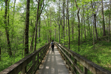 River Styx Spring Trail in Mammoth Cave National Park