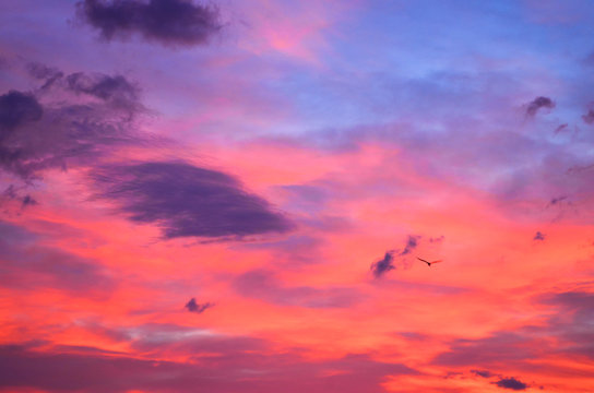 Clouds with orange, purple and red colors at sunset.  