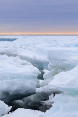 Obraz premium Sea ice along the Newfoundland coast in spring.