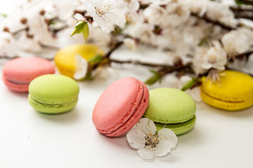 Macarons on white background against of blossoming apricot branch