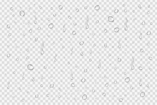 Vector set of realistic water drops on the transparent background.