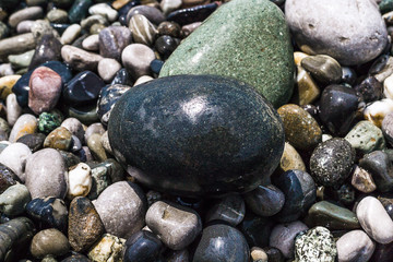 Rocky beach. Sea pebbles of various shapes. The big stone is like an egg.
