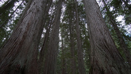Exploring Washington State