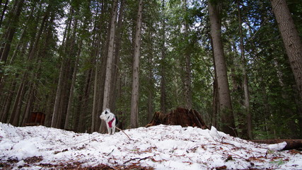 Exploring Washington State