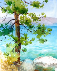 Obraz premium Watercolor Pine Tree with a Beautiful Teal Blue Lake Tahoe and Mountains on the Background Hand Painted Nature Landscape Illustration
