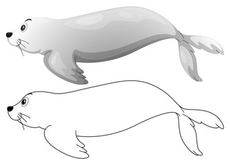 Fototapeta na wymiar Doodle animal character for seal