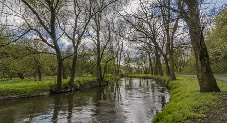Fototapeta na wymiar River Bilina near Stadice village in spring day