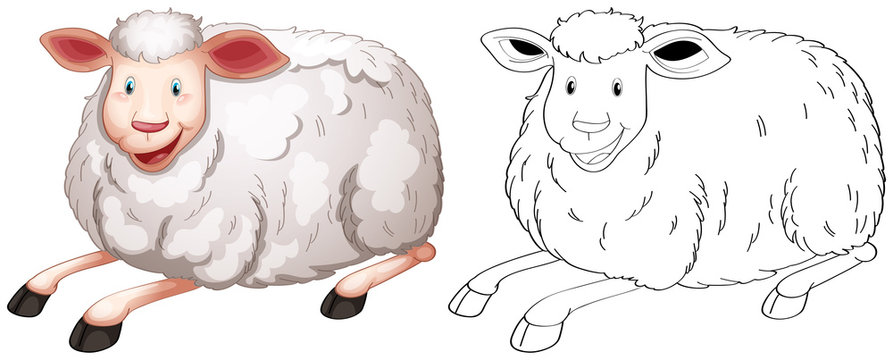 Doodle animal character for sheep