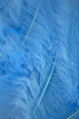 This is a photograph of Blue craft feathers background