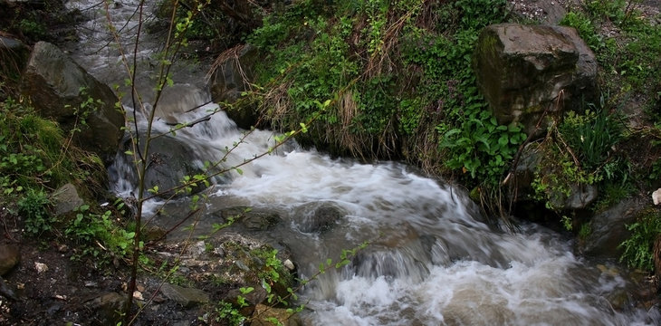 Mountain stream among trees and grass in spring.