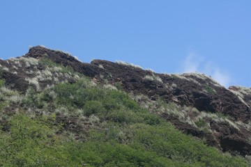 Inside Diamond Head, Oahu