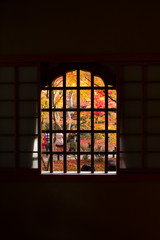 京都の寺院の窓から見た紅葉
