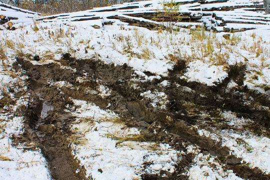 Tracks from a truck that was stuck in the muskeg